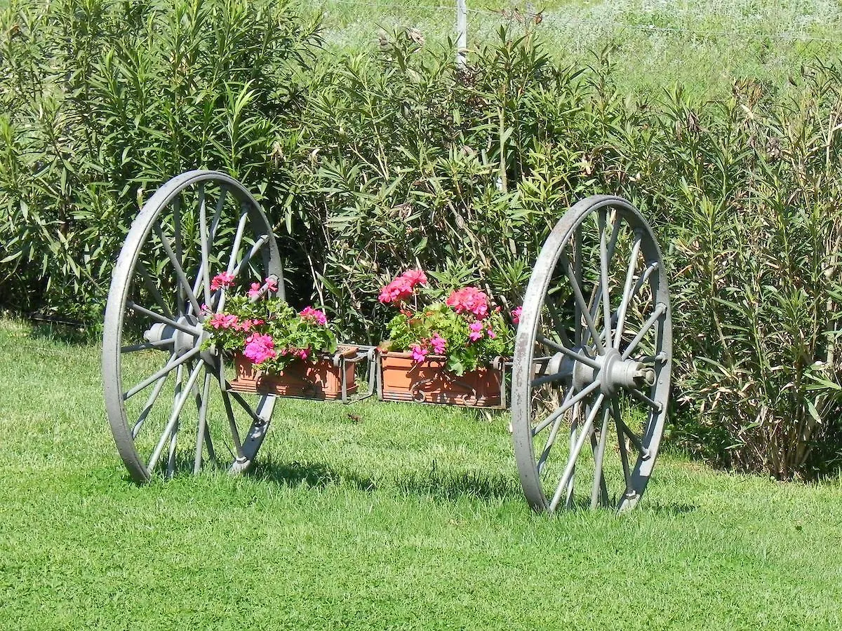 *** فندق مبيت وإفطار Bagno Roselle B&B Monte Di Bu إيطاليا